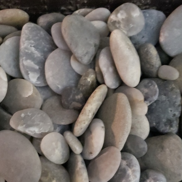 Meet your Posher, Angela - Picture 1 of 1